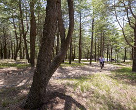 The National Arboretum Canberra - Events Australia 3