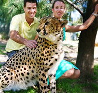 National Zoo  Aquarium - Events Australia