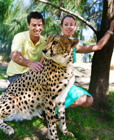 National Zoo & Aquarium - Events Australia 0