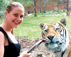 National Zoo & Aquarium - Events Australia 1