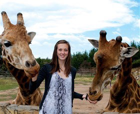 National Zoo & Aquarium - Events Australia 2