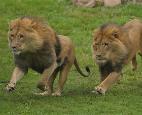 National Zoo & Aquarium - Events Australia 4