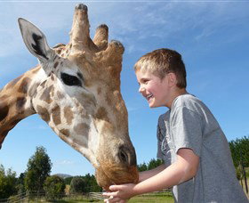 National Zoo & Aquarium - Events Australia 3