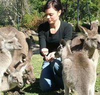 Canons Shuttles Day Tours - Events Australia