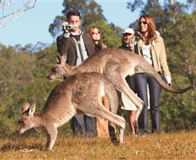 Boutique Tours Australia - Events Australia 2
