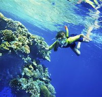 My Mates Tours - Events Australia