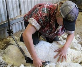 My Mates Tours - Accommodation Europe 7