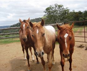 My Mates Tours - Accommodation Europe 8