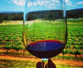 One Day Hunter Valley Day Tours And East Coast Adventures - Zepher Tours - Tourism Bookings 4