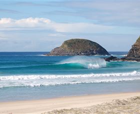 Surfaris Surf Camp - Events Australia 4