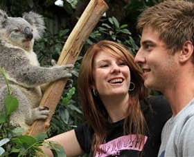 Colourful Trips - Tourism Bookings 3