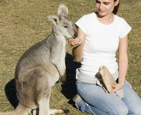 Colourful Trips - Tourism Bookings 4