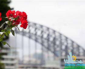 Sydney Photo Tours - Events Australia 3