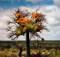 The Delmar Gallery - Events Australia