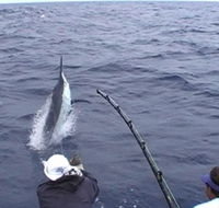 Amokura Charters - Accommodation Europe