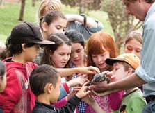 Blackbutt Reserve - Events Australia 2