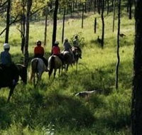 Hunter Valley Horse Riding and Adventures - Events Australia