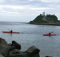 Newcastle Kayak Tours - Accommodation Europe