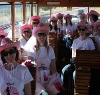 Newcastles Famous Tram - Accommodation Europe