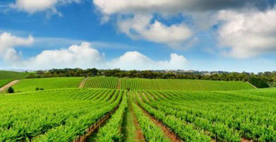 Sydney Weekend Adventures - Events Australia 2