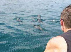 Tex Tours - Events Australia 3