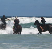 Pegasus Park Equestrian Centre - Events Australia