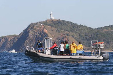 Byron Bay Dolphin Wildlife Tours - Events Australia 1