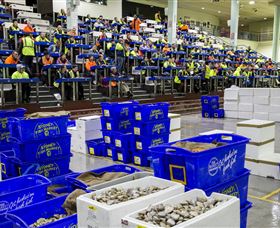 Sydney Fish Market - Events Australia 0