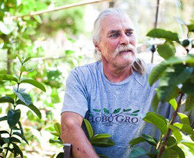 South Of The Border Tours - Tourism Bookings 2