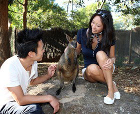 VIP Aussie Gold - Events Australia 0