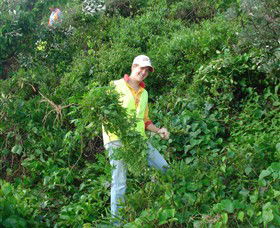 Conservation Volunteers Australia - Sydney - Tourism Bookings 2