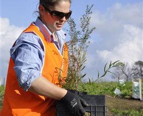 Conservation Volunteers Australia - Sydney - Tourism Bookings 3
