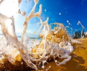 Saltmotion Gallery - Events Australia 1