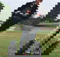 Segway Tours Australia - Events Australia