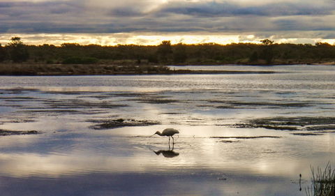 Towra Point Nature Reserve - Accommodation Europe 2
