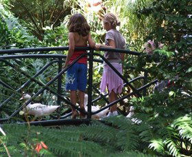 EG Waterhouse National Camellia Garden - Events Australia 0