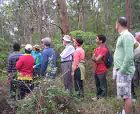 Boronia Tours - Events Australia 0