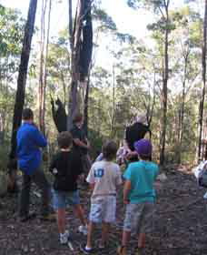 Boronia Tours - Events Australia 1