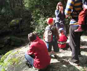 Boronia Tours - Events Australia 2