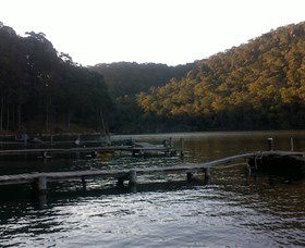 Church Point Ferry Service - Events Australia 5