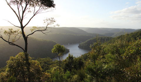 Barnetts Lookout - Tourism Bookings 1