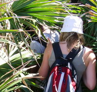 Palm Jungle loop track - Events Australia