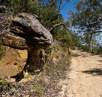 Canoelands Ridge walking track - Events Australia
