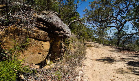 Canoelands Ridge Walking Track - Events Australia 0