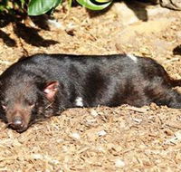 Symbio Wildlife Park - Events Australia