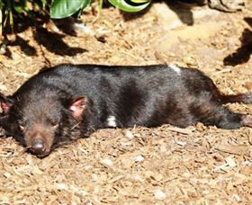 Symbio Wildlife Park - Events Australia 0