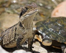 Symbio Wildlife Park - Events Australia 3