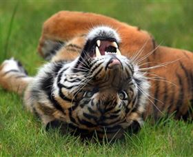 Symbio Wildlife Park - Events Australia 6