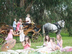 Classic Carriage Drives - Events Australia 1