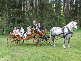 Classic Carriage Drives - Events Australia 0